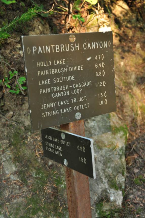 Após quase duas milhas, chegamos à placa indicativa. Nosso objetivo é o loop, uma das grandes trilhas no Grand Teton National Park, no Wyoming, nos Estados Unidos